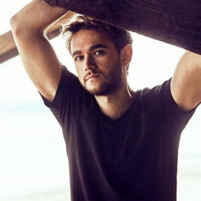 Zedd