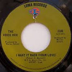 The Voice Box