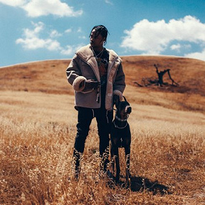 Travi$ Scott