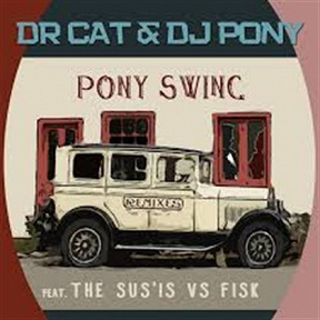 Dr Cat & DJ Pony