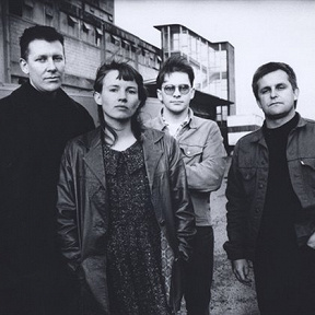 The Bats