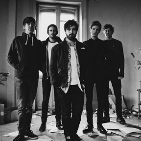 Foals