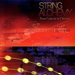 String Alchemy: From Eclectic To Electric | Larry Coryell