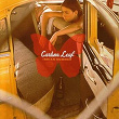 Indian Summer | Carbon Leaf