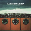 Love, Loss, Hope, Repeat | Carbon Leaf