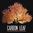 Nothing Rhymes With Woman | Carbon Leaf