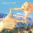 Miss Hollywood (Radio Edit) | Carbon Leaf