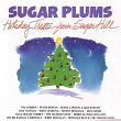 Sugar Plums - Holiday Treats From Sugar Hill | Tim O'brien