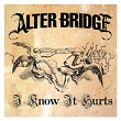 I Know It Hurts | Alter Bridge