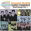 Remember Me Baby: Cameo Parkway Vocal Groups Vol. 1 | Rick & The Masters