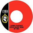 Cameo Parkway Vocal Group Gems Of 1964 | The Gleems