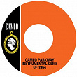 Cameo Parkway Instrumental Gems Of 1964 | Plato