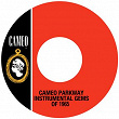 Cameo Parkway Instrumental Gems Of 1965 | D. Kool & The Kasuals