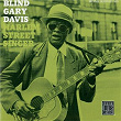 Harlem Street Singer | Rev. Gary Davis