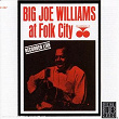 At Folk City | Big Joe Williams