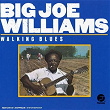 Walking Blues | Big Joe Williams