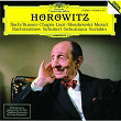 Vladimir Horowitz - The Last Romantic | Vladimir Horowitz