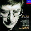 Brahms: Works for Chorus & Orchestra | Jard Van Nes