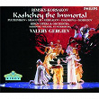 Rimsky-Korsakov: Kashchey the Immortal | Konstantin Pluzhnikov
