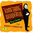 Bryn Terfel - Something Wonderful | Bryn Terfel