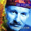 Zawinul: Stories of the Danube | Joe Zawinul