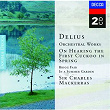 Delius: Orchestral Works | Welsh National Opera Orchestra