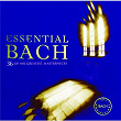 Essential Bach | The Boston Symphony Orchestra