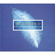 Bluebird - Music Of Contemplation | Choir Of New College Oxford