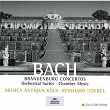 Bach: Brandenburg Concertos; Orchestral Suites; Chamber Music | Koln Musica Antiqua