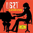 Liszt - Wild and Crazy | Franz Liszt