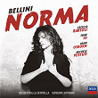 Bellini: Norma | John Osborn