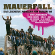 Mauerfall - Das legendäre Konzert für Berlin '89 (Live) | Steffen Simon