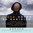 Gluck: Orfeo ed Euridice / Orpheo - Highlights Of The Versions For Vienna (1762) And Paris (1774) (Live) | Franco Fagioli