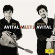 Avital Meets Avital | Avi Avital