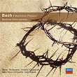 Matthäus-Passion Arien & Chöre (QS) (CC) (Classical Choice) | Skf Matsumoto Children's Chorus
