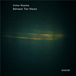 Between Two Waves | Gidon Kremer
