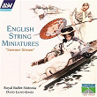 English String Miniatures | David Lloyd-jones