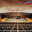 Haydn: Concertos | Maurizio Baglini