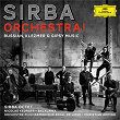 Sirba Orchestra! Russian, Klezmer & Gypsy Music | Sirba Octet