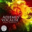 Adiemus V - Vocalise | Adiemus