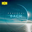 Peaceful Bach | Francesco Tristano