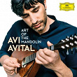 Art of the Mandolin | Avi Avital