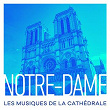 Notre-Dame : Les musiques de la cathédrale | Jean-sébastien Bach