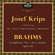 Brahms: Symphony No. 1 | Wiener Philharmoniker