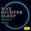 Dream 3 (Remix) | Max Richter