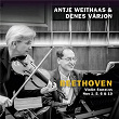 Beethoven: Violin Sonata No. 1 in D Major, Op. 12, No. 1: III. Rondo. Allegro | Antje Weithaas