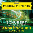 Schubert: An die Musik, D. 547 (Musical Moments) | Andrè Schuen