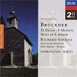 Bruckner: Te Deum; Mass No. 2; Motets | George Guest