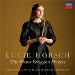 J.S. Bach: Orchestral Suite No. 3 in D Major, BWV 1068: II. Air (Performed on Recorder) | Lucie Horsch