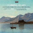 Fantasía for Cello and Orchestra | Gabríel Ólafs